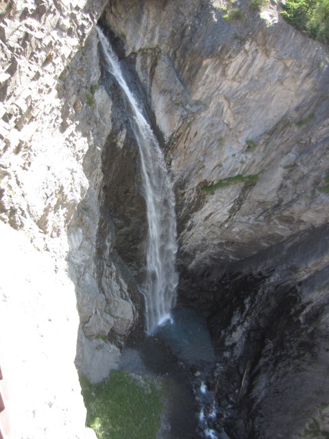 IMG_4452.JPG